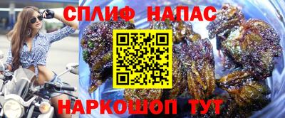 гидра Гусев