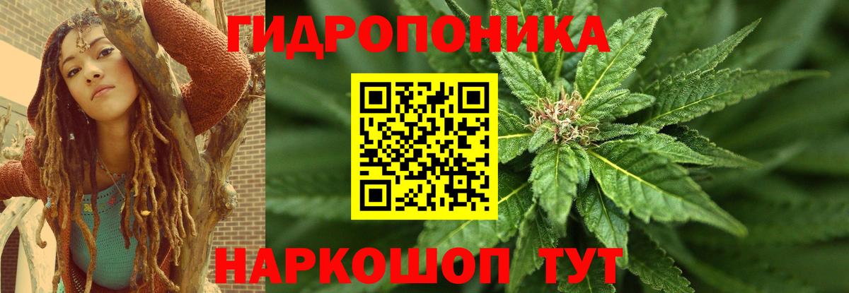 Конопля план Новоуральск